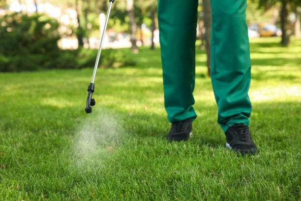 Best Residential Pest Control  in Dover Beaches North, NJ