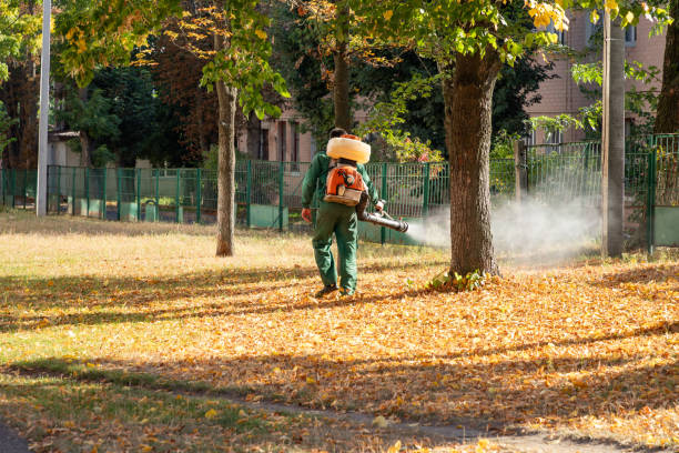 Trusted Dover Beaches North, NJ Pest Control Experts